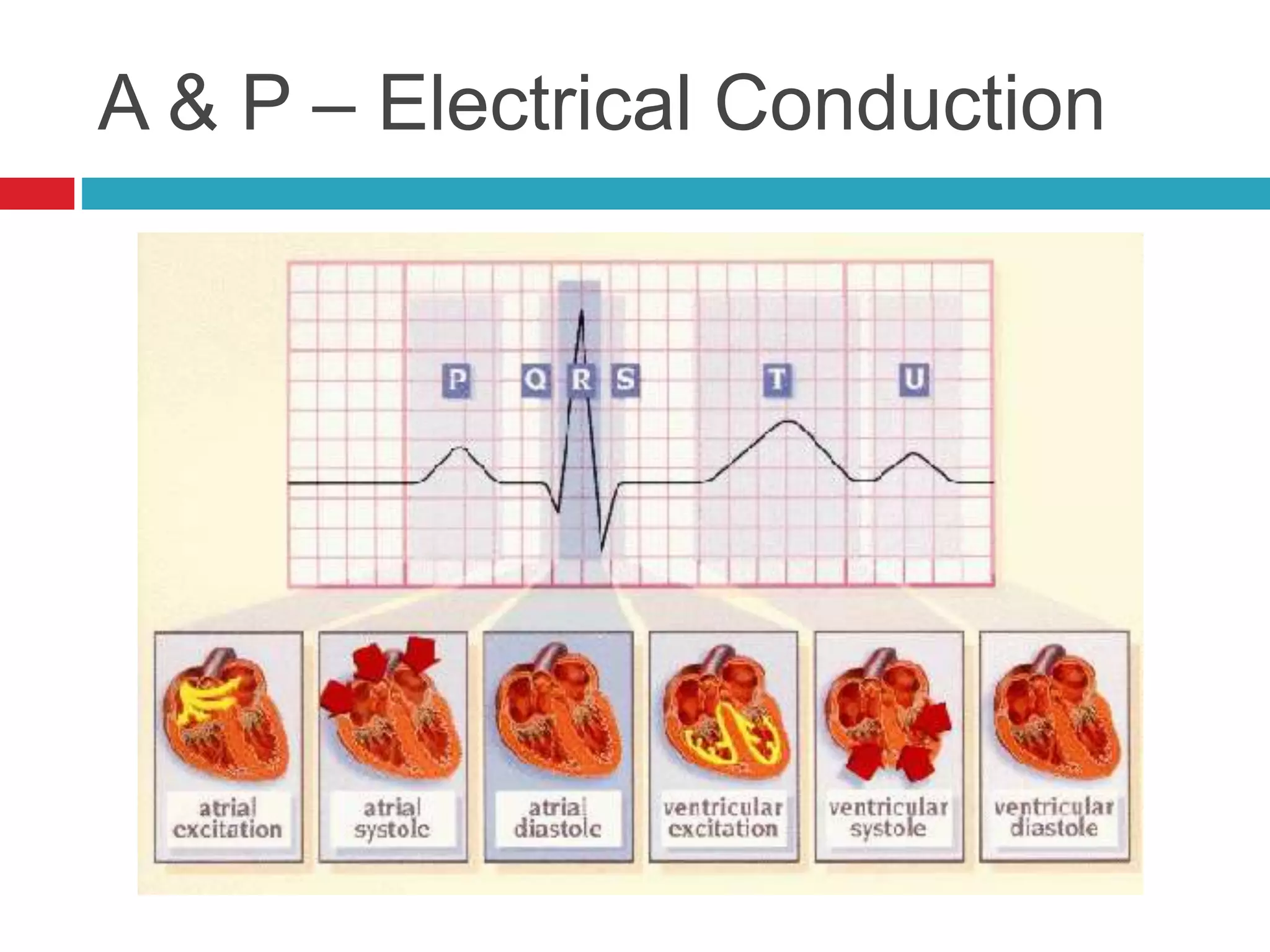 A & P – Electrical Conduction
 