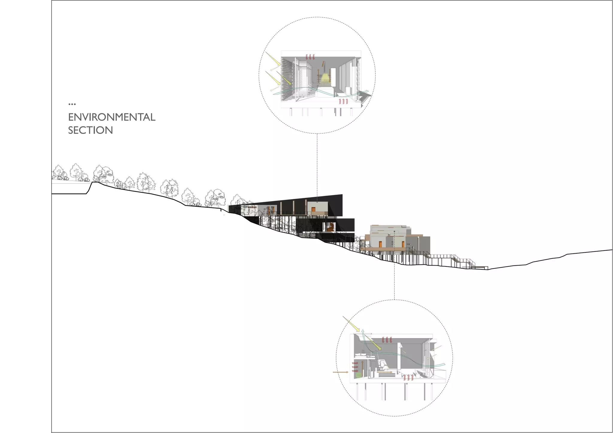 ...
ENVIRONMENTAL
SECTION
 