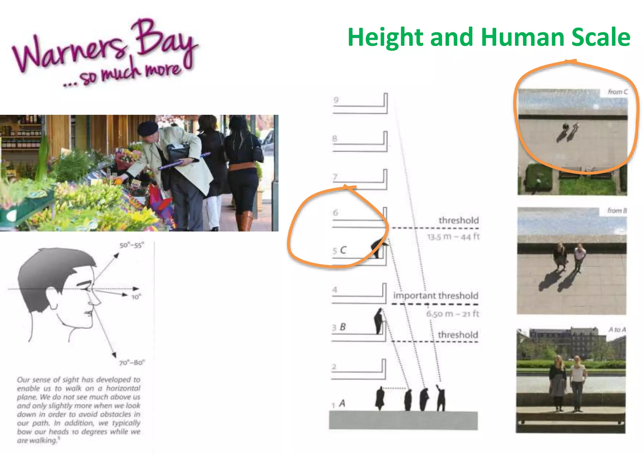 Height and Human Scale 
 