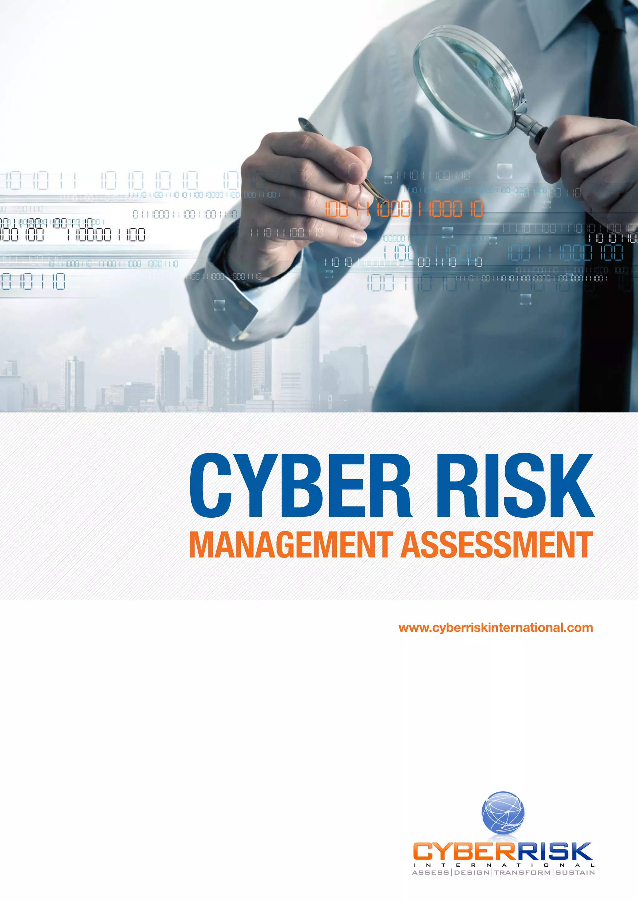 Cyber-Risk-Management-Assessment (1) | PDF