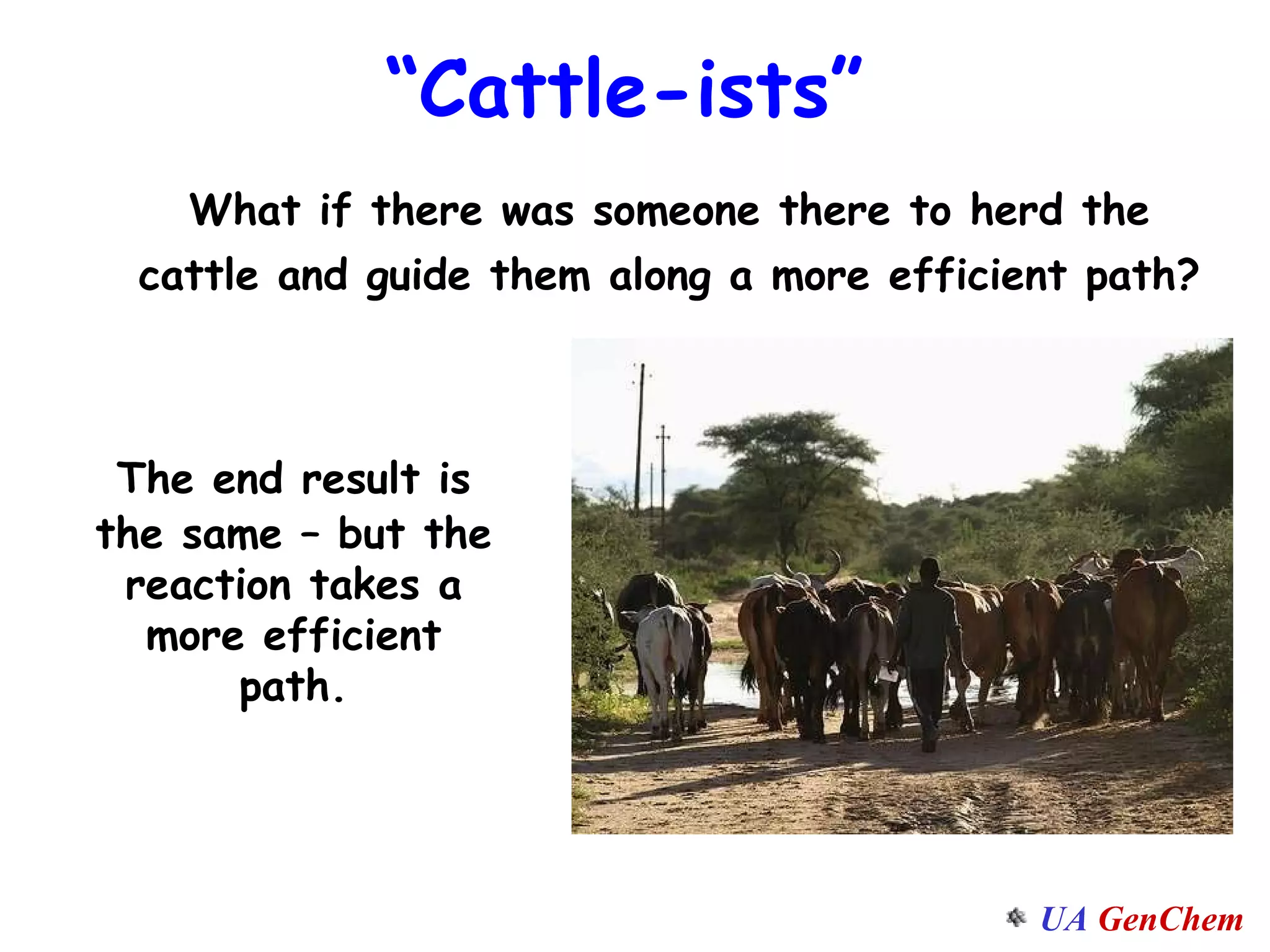 What if there was someone there to herd the cattle and guide them along a more efficient path? “ Cattle-ists” The end result is the same – but the reaction takes a more efficient path. 