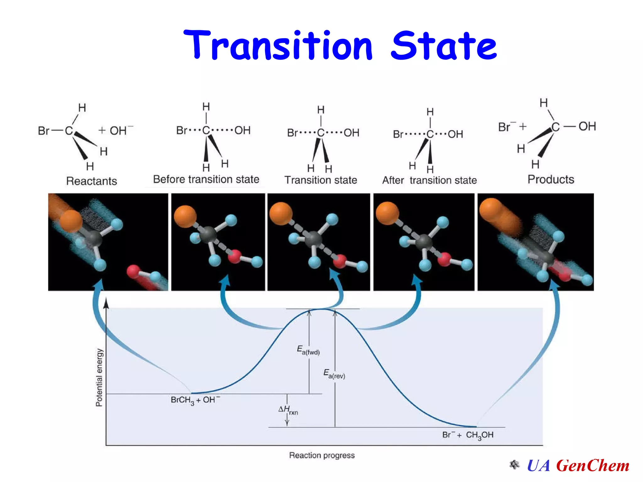 Transition State 