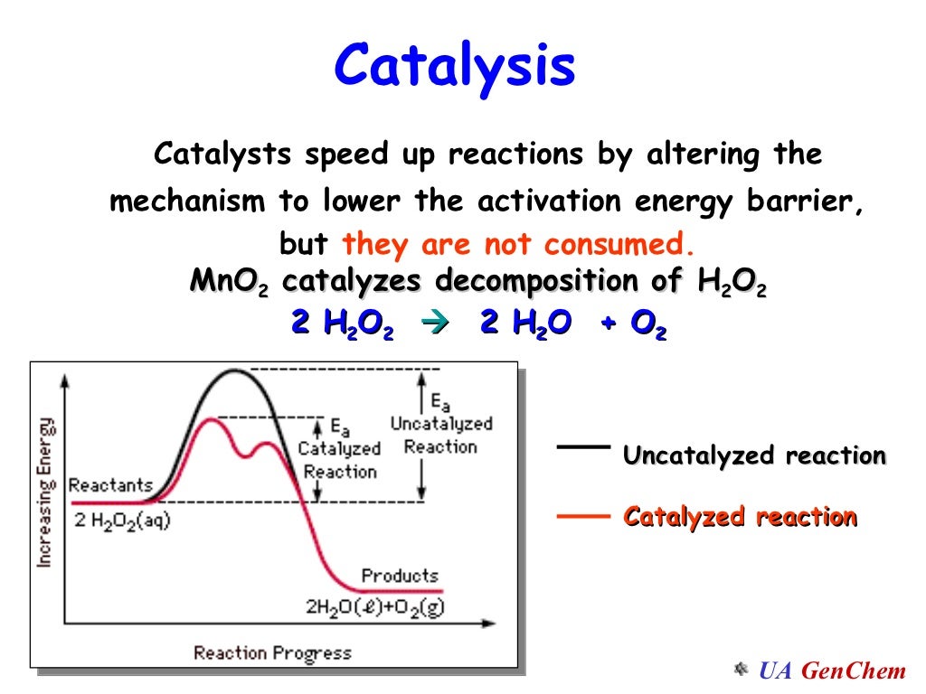 D07 abbrev arrhenius and catalysts_alg