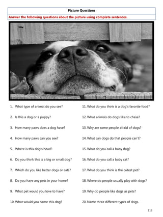 113
Picture Questions
Answer the following questions about the picture using complete sentences.
1. What type of animal do you see?
2. Is this a dog or a puppy?
3. How many paws does a dog have?
4. How many paws can you see?
5. Where is this dog’s head?
6. Do you think this is a big or small dog?
7. Which do you like better dogs or cats?
8. Do you have any pets in your home?
9. What pet would you love to have?
10. What would you name this dog?
11. What do you think is a dog’s favorite food?
12. What animals do dogs like to chase?
13. Why are some people afraid of dogs?
14. What can dogs do that people can’t?
15. What do you call a baby dog?
16. What do you call a baby cat?
17. What do you think is the cutest pet?
18. Where do people usually play with dogs?
19. Why do people like dogs as pets?
20. Name three different types of dogs.
 