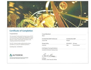 AUTOSESK REVIT MEP professional certificate