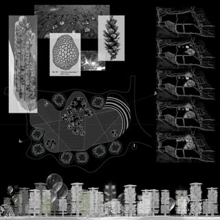 Phuong Nguyen CV+Portfolio