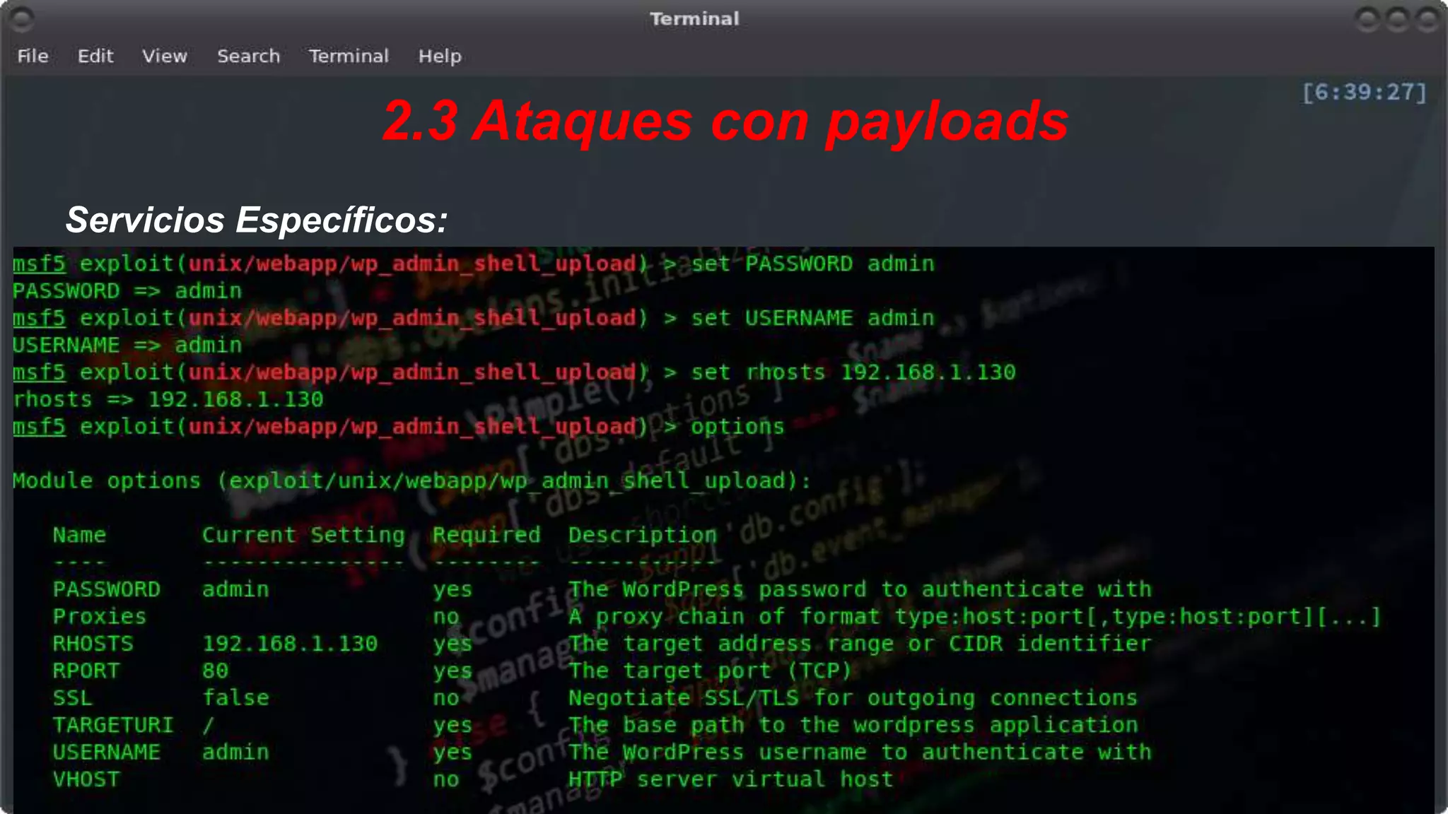 2.3 Ataques con payloads
Servicios Específicos:
 
