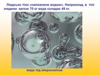 Людське тіло «наповнене водою». Наприклад, в тілі 
людини вагою 70 кг вода складає 49 кг. 
вода під мікроскопом 
 
