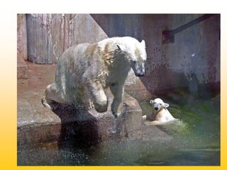 D0b2d0bed0b4d0b0 d183-d0bcd0bed194d0bcd183-d0b6d0b8d182d182