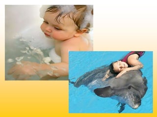 D0b2d0bed0b4d0b0 d183-d0bcd0bed194d0bcd183-d0b6d0b8d182d182