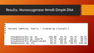 Results: Monooxygenase MmoB/DmpM-DNA
 