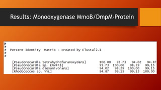 Results: Monooxygenase MmoB/DmpM-Protein
 