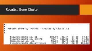 Results: Gene Cluster
 