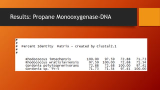 Results: Propane Monooxygenase-DNA
 