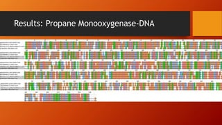 Results: Propane Monooxygenase-DNA
 