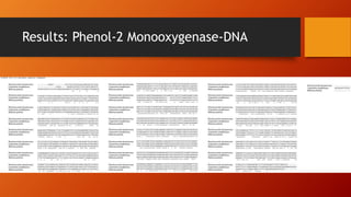 Results: Phenol-2 Monooxygenase-DNA
 