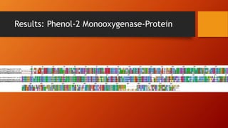 Results: Phenol-2 Monooxygenase-Protein
 