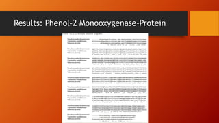 Results: Phenol-2 Monooxygenase-Protein
 