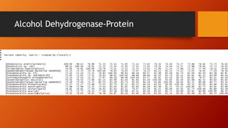 Alcohol Dehydrogenase-Protein
 
