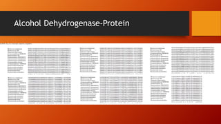 Alcohol Dehydrogenase-Protein
 