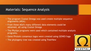 Materials: Sequence Analysis
• The program Clustal Omega was used create multiple sequence
alignments (MSA).
• From these MSA’s many different data elements could be
obtained, all using Clustal Omega
• The Phylips programs were used which contained multiple analysis
programs.
• Gene/Protein consensus logos were created using GENIO/logo
• The phylogeny tree was created using TreeView
 