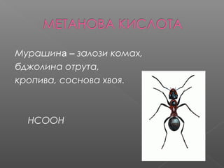 Мурашина – залози комах, 
бджолина отрута, 
кропива, соснова хвоя. 
HCOOH 
 