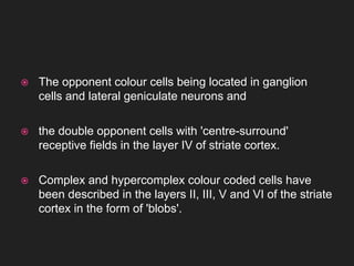 Hypercomplex Cell Colour vision notes pptslides/vision.pdf