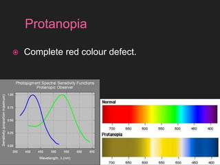 Color Vision Pdf Colour vision notes pptslides/vision.pdf