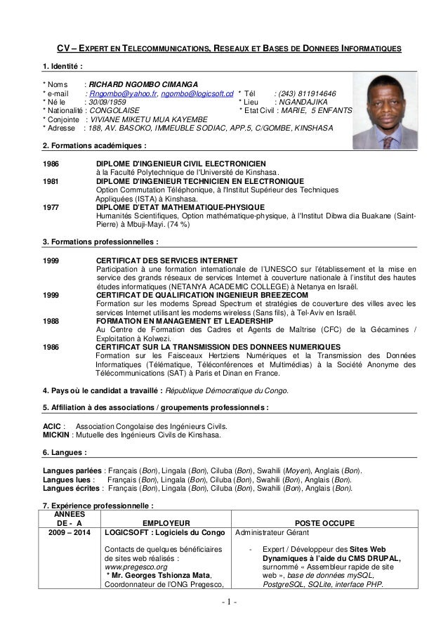 CV-expert_webmaster_online_databases_ngombo_20160224