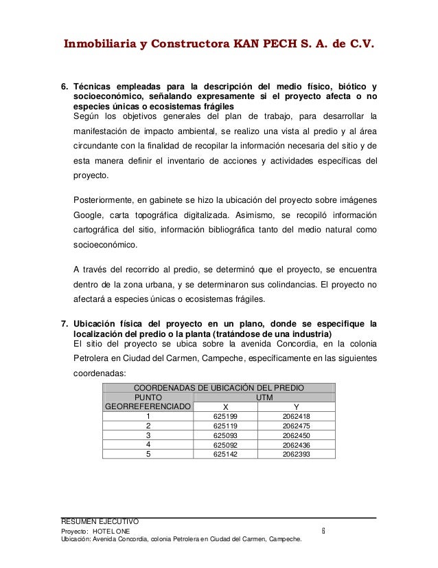 formato informe ejecutivo ejemplo