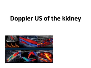 Doppler US of the kidney
 