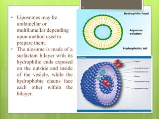 • Liposomes may be
unilamellar or
multilamellar depending
upon method used to
prepare them.
• The niosome is made of a
surfactant bilayer with its
hydrophilic ends exposed
on the outside and inside
of the vesicle, while the
hydrophobic chains face
each other within the
bilayer.
6
 