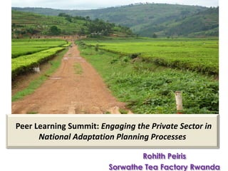 KIGALI, RWANDA
May 2018
Rohith Peiris
Sorwathe Tea Factory Rwanda
Peer Learning Summit: Engaging the Private Sector in
National Adaptation Planning Processes
 