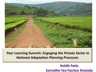 KIGALI, RWANDA
May 2018
Rohith Peiris
Sorwathe Tea Factory Rwanda
Peer Learning Summit: Engaging the Private Sector in
Nat...