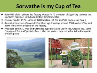 Sorwathe is my Cup of Tea
 Rwanda’s oldest private Tea factory located in 70 km north of Kigali city towards the
Northern...