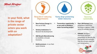 2
In your field, what
is the range of
private sector
actors you work
with on
adaptation?
• New Fortress Energy for
the use...