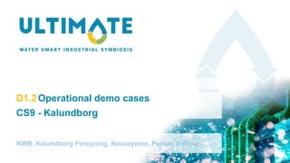 D1.2Operational demo cases
CS9 - Kalundborg
KWB, Kalundborg Forsyning, Novozymes, Pentair X-Flow
 