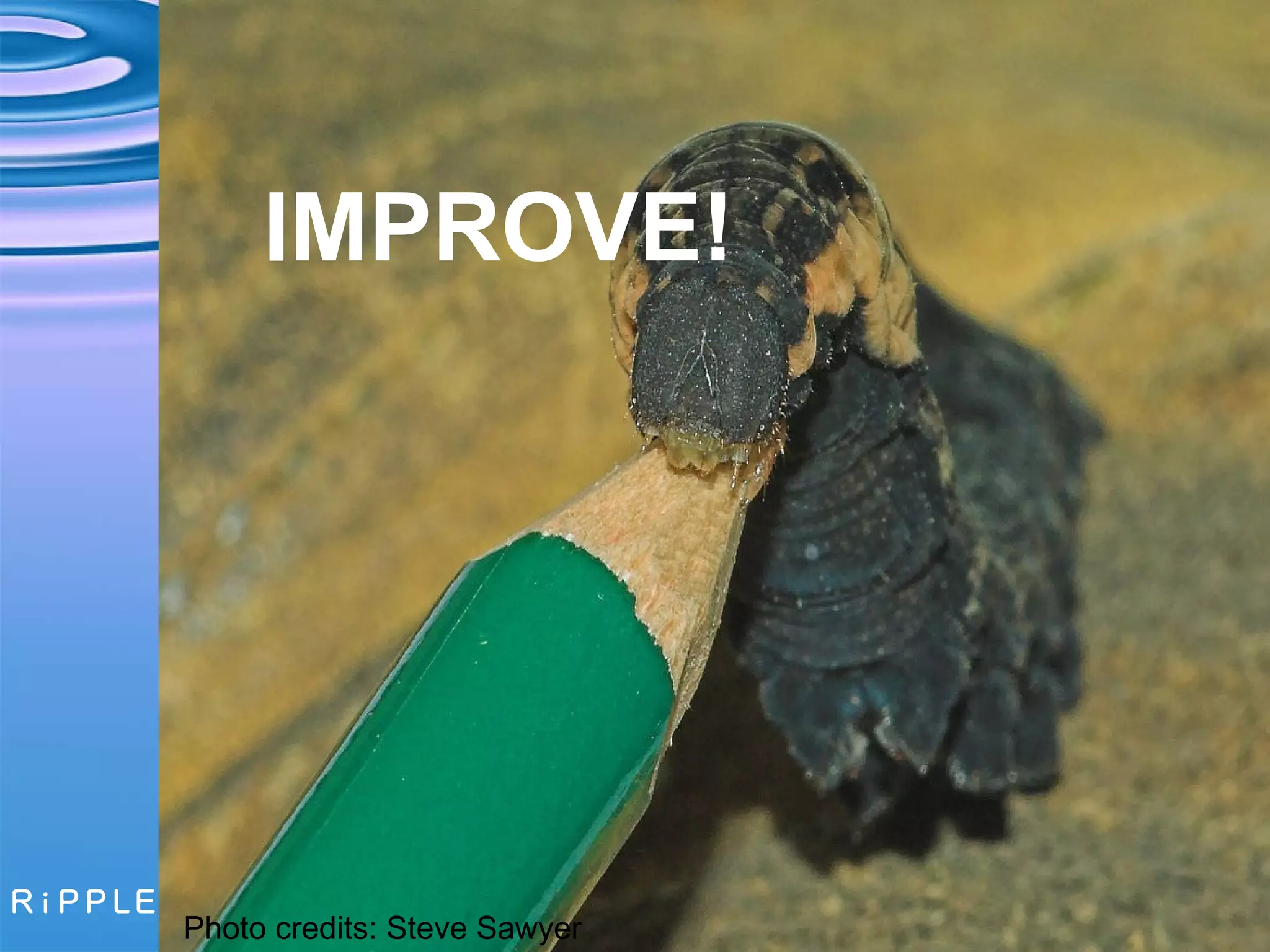 IMPROVE! Photo credits: Steve Sawyer 