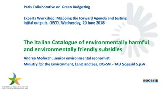 The Italian Catalogue of environmentally harmful
and environmentally friendly subsidies
Andrea Molocchi, senior environmental economist
Ministry for the Environment, Land and Sea, DG-SVI - TAU Sogesid S.p.A
Paris Collaborative on Green Budgeting
Experts Workshop: Mapping the forward Agenda and testing
initial outputs, OECD, Wednesday, 20 June 2018
 
