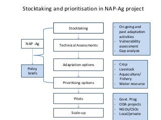 Stocktaking and prioritisation in NAP-Ag project
Stocktaking
Techinical Assessments
Adaptation options
Prioritising options
Pilots
Scale-up
NAP -Ag
On going and-
past adaptation
activities
Vulnerability-
assessment
Gap analysis-
Policy
briefs
Crop-
Livestock-
Aquaculture/-
Fishery
Water resource-
Govt.- Prog
ODA projects-
NGOs/CSOs-
Local/private-