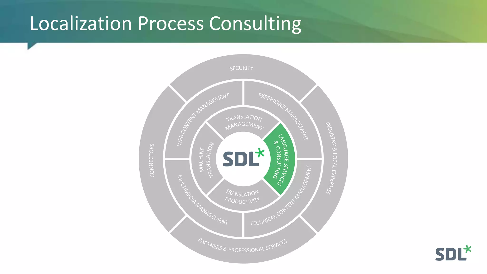 Localization Process Consulting
 