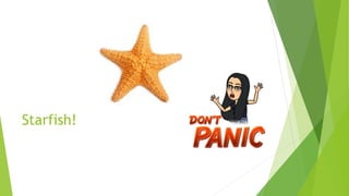 Starfish!
 