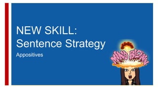 +
NEW SKILL:
Sentence Strategy
Appositives
 