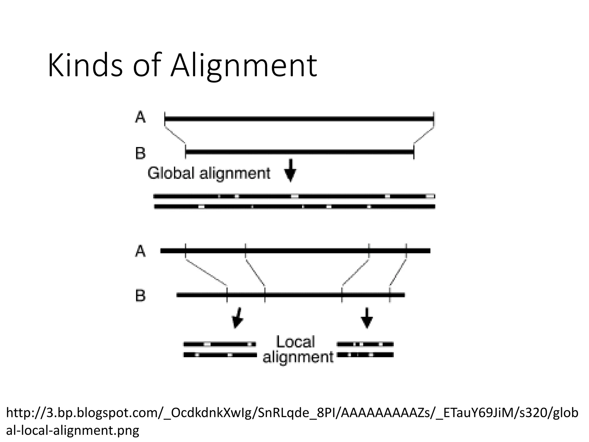 Kinds of Alignment
http://3.bp.blogspot.com/_OcdkdnkXwIg/SnRLqde_8PI/AAAAAAAAAZs/_ETauY69JiM/s320/glob
al-local-alignment.png
 