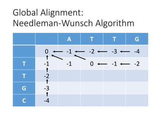 Global Alignment:
Needleman-Wunsch Algorithm
A T T G
0 -1 -2 -3 -4
T -1 -1 0 -1 -2
T -2
G -3
C -4
 