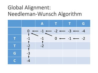 Global Alignment:
Needleman-Wunsch Algorithm
A T T G
0 -1 -2 -3 -4
T -1 -1 0 -1 -2
T -2 -2
G -3
C -4
 
