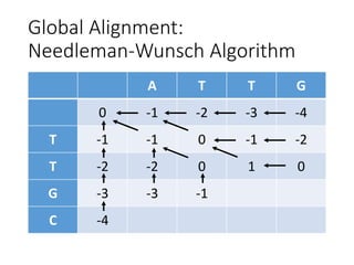 Global Alignment:
Needleman-Wunsch Algorithm
A T T G
0 -1 -2 -3 -4
T -1 -1 0 -1 -2
T -2 -2 0 1 0
G -3 -3 -1
C -4
 