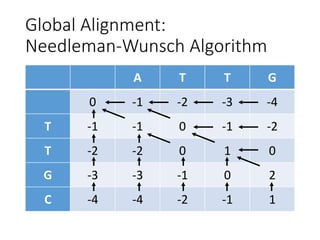 Global Alignment:
Needleman-Wunsch Algorithm
A T T G
0 -1 -2 -3 -4
T -1 -1 0 -1 -2
T -2 -2 0 1 0
G -3 -3 -1 0 2
C -4 -4 -2 -1 1
 