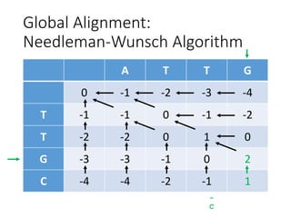 Global Alignment:
Needleman-Wunsch Algorithm
A T T G
0 -1 -2 -3 -4
T -1 -1 0 -1 -2
T -2 -2 0 1 0
G -3 -3 -1 0 2
C -4 -4 -2 -1 1
-
C
 